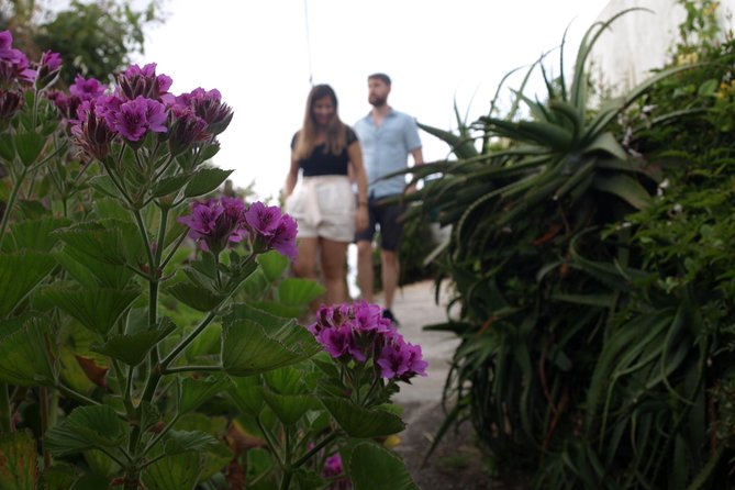 Sintra/Pena, Regaleira & Monserrate - Pena Palace Gardens and Exteriors