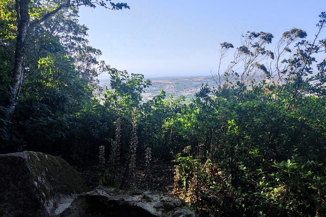 Sintra Private Hiking Adventure Tour - Scenic Descent Along Estrada da Pena with Views of Sintra’s Landmarks
