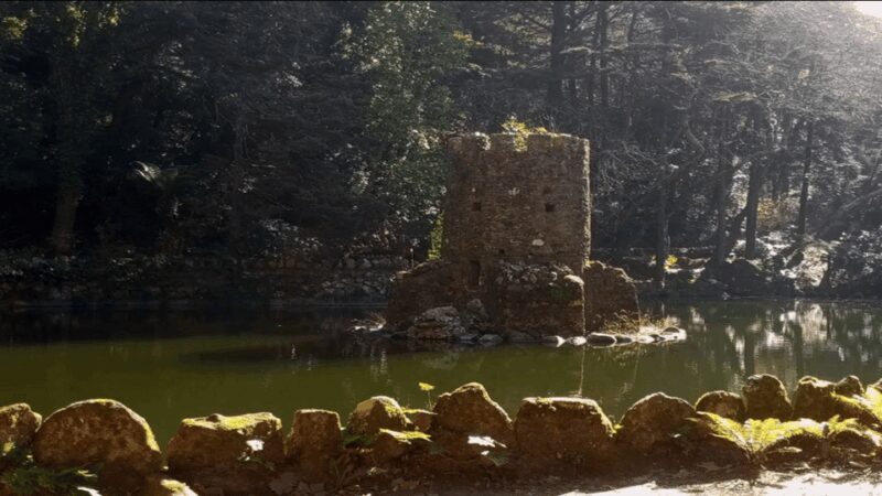 Sintra: Private Palaces, Moorish Castle, and Roca Cape Tour - From the Old Town to the Castle District