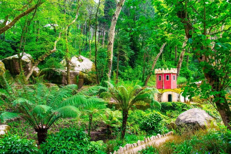 Sintra: Private Sightseeing Tuk Tuk Tour with Local Guide - Walking Through the Moorish Castle for Panoramic Views