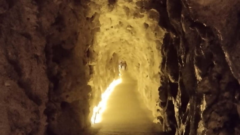 Sintra Private Tour w/Picnic: Pena Park & Qta da Regaleira - Visiting Pena Palace’s Colorful Exterior and Gardens