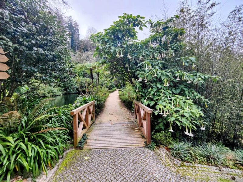 Sintra: Queluz Palace, Biester Palace, and Colares Winery - Explore Sintra’s Regal Palaces and Historic Winery in a 7-Hour Private Tour