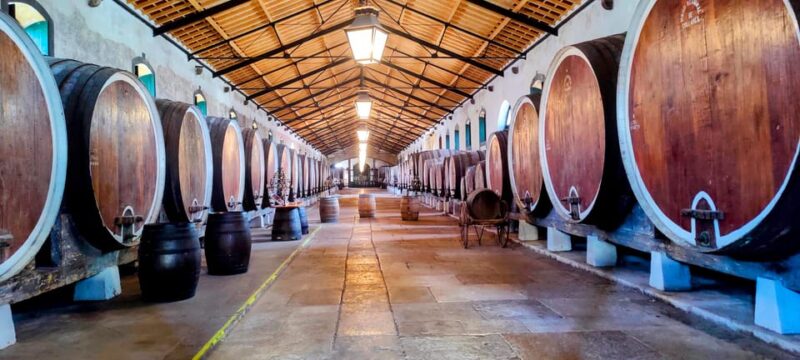 Sintra: Queluz Palace, Biester Palace, and Colares Winery - Key Points