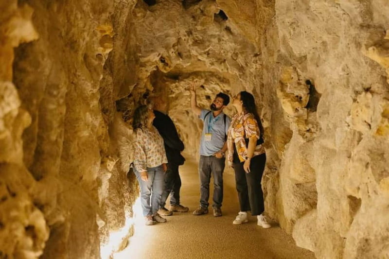 Sintra: Quinta da Regaleira Guided Tour with Entry Ticket - Discovering Quinta da Regaleira’s Mystical Atmosphere