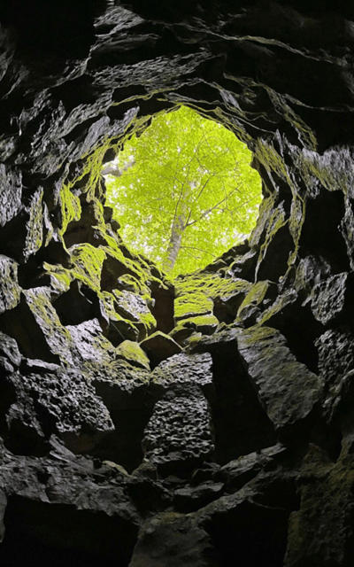 Sintra: Quinta da Regaleira Skip the Line Entry Tickets - The Advantages of Booking in Advance