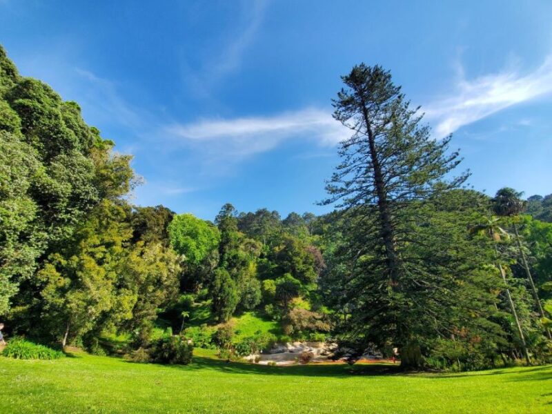 Sintra: Self-Driven Trip with Route-Planning Support - Route Planning Support: Your Personal Guide in Digital Form