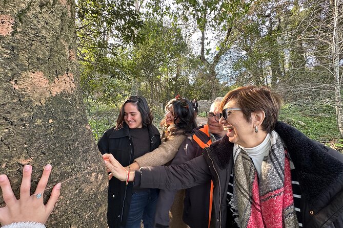 Sintra Tour by Electric Tuk Tuk - Explore Sintra in a Stylish Electric Tuk Tuk for $76.79