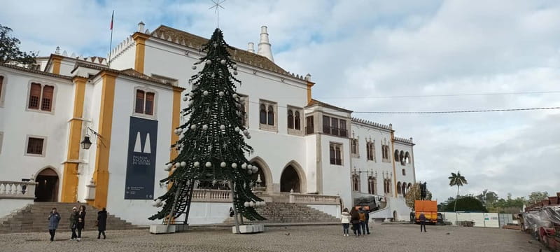 Sintra Tour Full Day by Luxury Mercedes - Accessibility and Flexibility