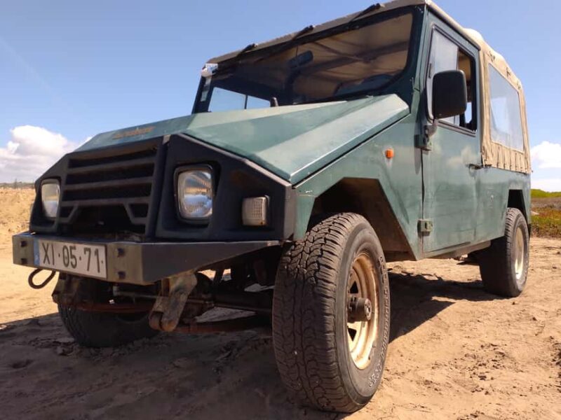 Sintra Tours: Wine & Nature 6h - Wine Tasting at a Local Cellar