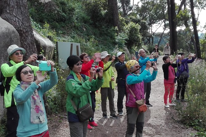 Sintra with tickets to monuments private tour from Lisbon - Discovering Vila Velha in Sintras Historic Center