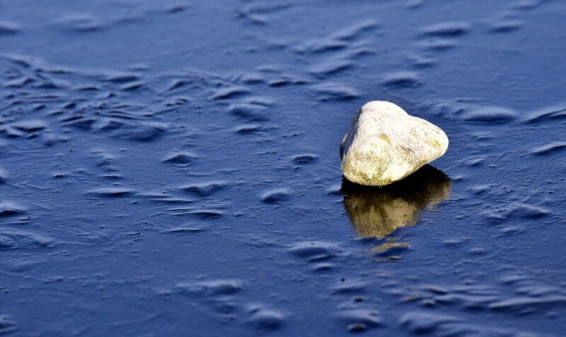 Sip & Savor: Ston and Peljesac Vineyards Extravaganza - Key Points