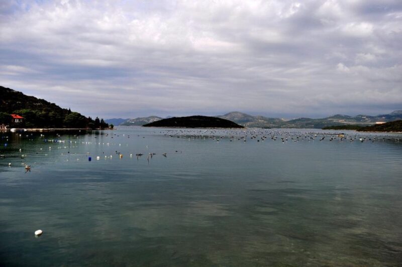 Sip & Savor: Ston and Peljesac Vineyards Extravaganza - Sampling Fresh Oysters and Mussels from the Adriatic