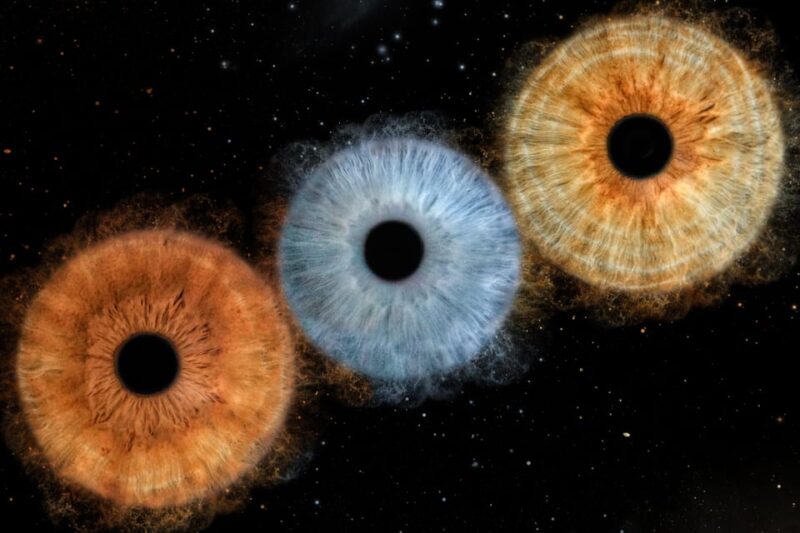 Siracusa Iris Photography Experience - Easy Meeting Point Near Syracuse’s Culinary Landmark