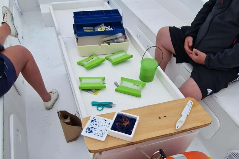 Siracusa: Ortigia +sea caves +fishing experience - Discovering the Charm of Ortigia’s Coastline