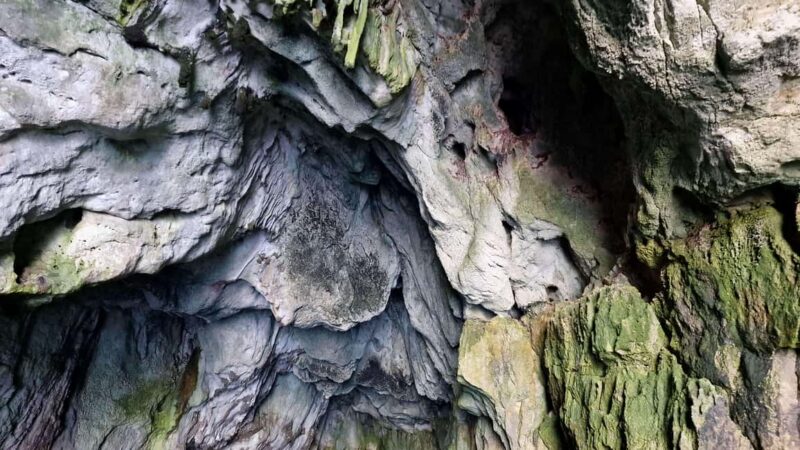 Siracusa: Ortigia +sea caves +fishing experience - Accessibility and Practical Details