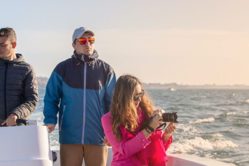 Siracusa: Ortygia Island Boat Tour with Grotto Visit - What to Expect During the Boat Ride in Syracuse