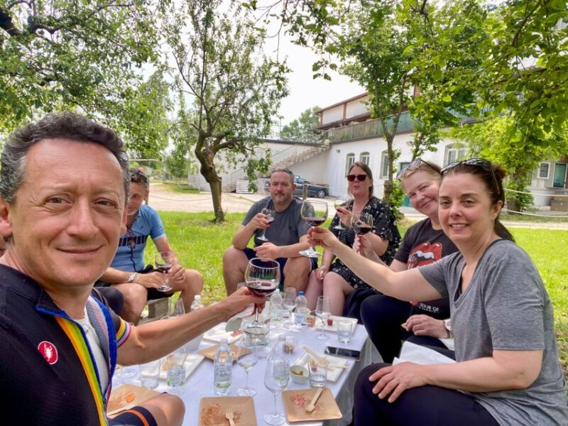 Sirmione: Vineyard Tour with Lugana Wines and Local Tastings - Key Points