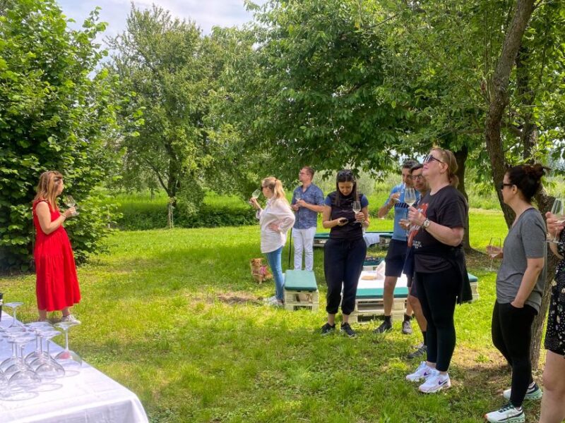 Sirmione: Vineyard Tour with Lugana Wines and Local Tastings - The Value of This Vineyard Tour