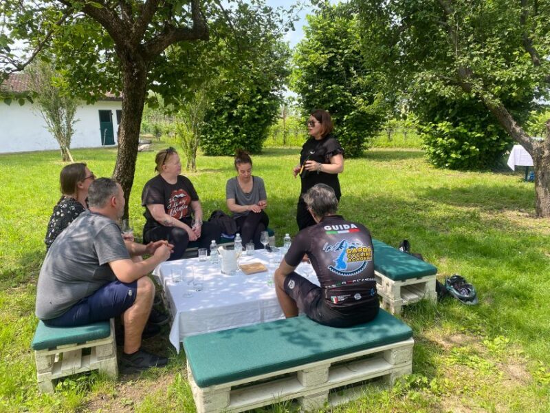 Sirmione: Vineyard Tour with Lugana Wines and Local Tastings - The Sum Up: A Charming & Authentic Wine Experience Near Sirmione