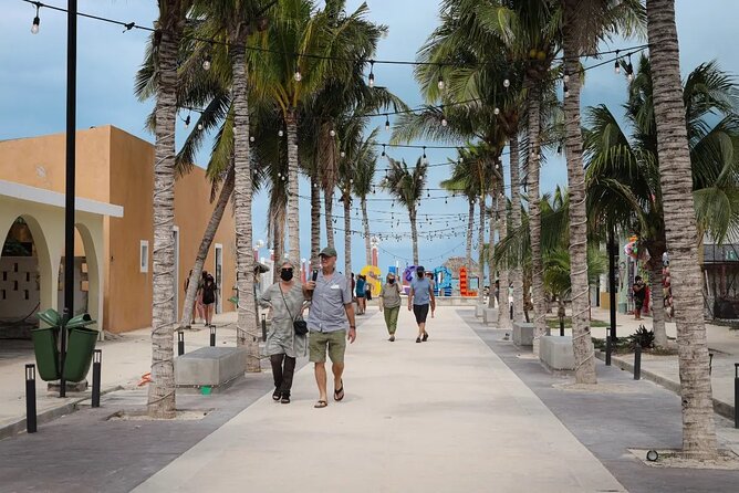 Sisal Mangroves & Beach Expedition from Merida - Logistics and Practical Tips for the Day Trip