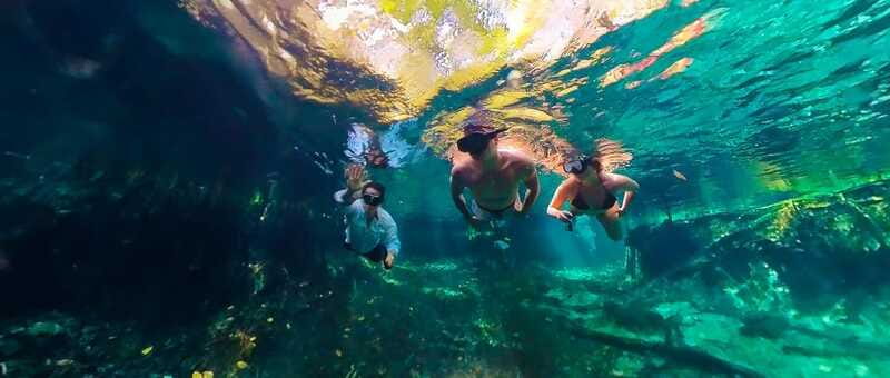 Sisal: Picnic PREMIUM en medio del mar y snorkel manantial - Why Choose This Tour in Sisal