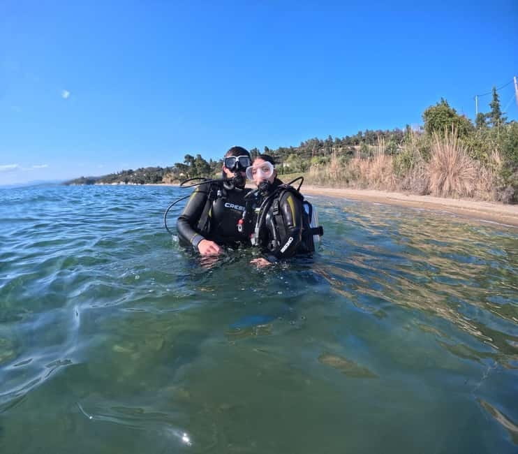 Sithonia: Scuba Diving Experience for Beginners - The Dive Location in Halkidiki: Elia Beach