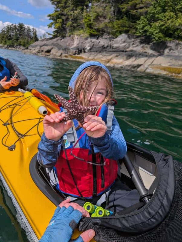 Sitka, Alaska: Island Discovery Kayak Tour - The Small Group Advantage and Expert Guidance