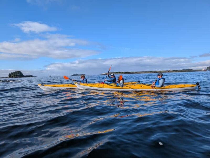 Sitka, Alaska: Island Discovery Kayak Tour - Booking Flexibility and Cancellation Policy