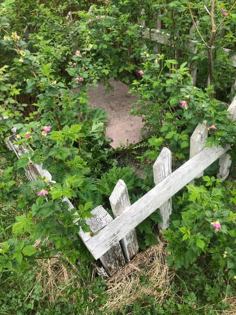 Sitka: Haunted Walking Tour - History and Haunts of Sitka - Practical Details: Meeting Point, Booking, and Accessibility