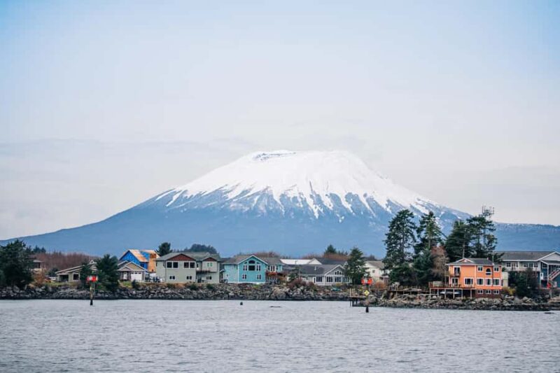 Sitka: Islands of Wonder Wildlife Adventure - Comparing to Other Sitka Wildlife Tours