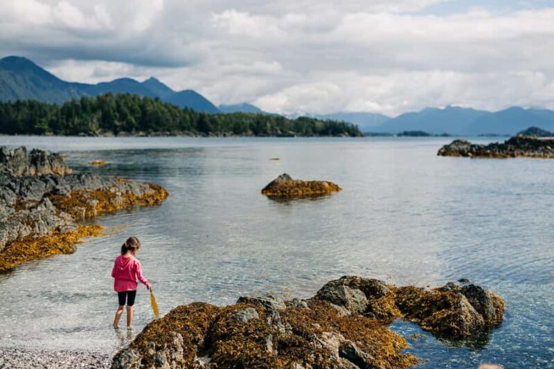 Sitka: Private Full Day Wildlife Boat Tour with Beach Lunch - Beach Picnic and Tide Pool Exploration