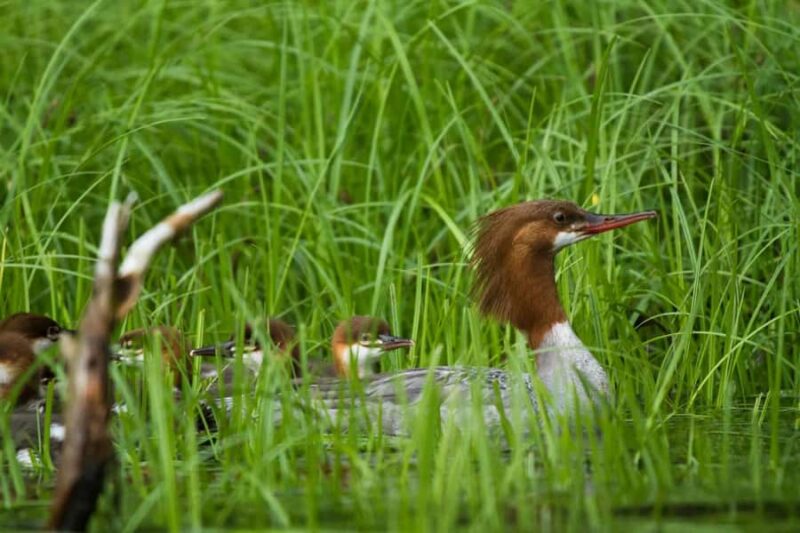 Sitka: Private Full Day Wildlife Boat Tour with Beach Lunch - Booking Flexibility and Cancellation Policy