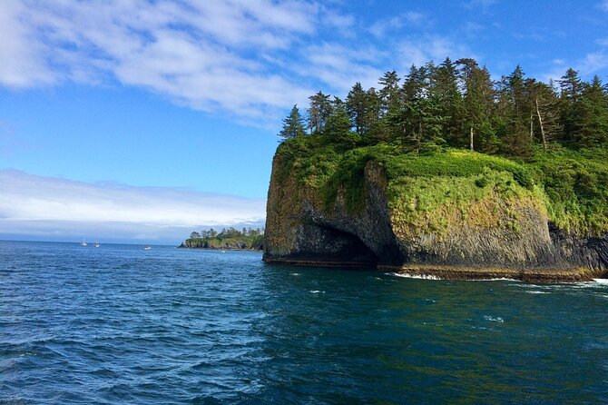 Sitka Sea Birds & Marine Life Private Charter Scenic Eco-Tour - Discover Sitka’s Marine Wildlife on a Private Eco-Tour