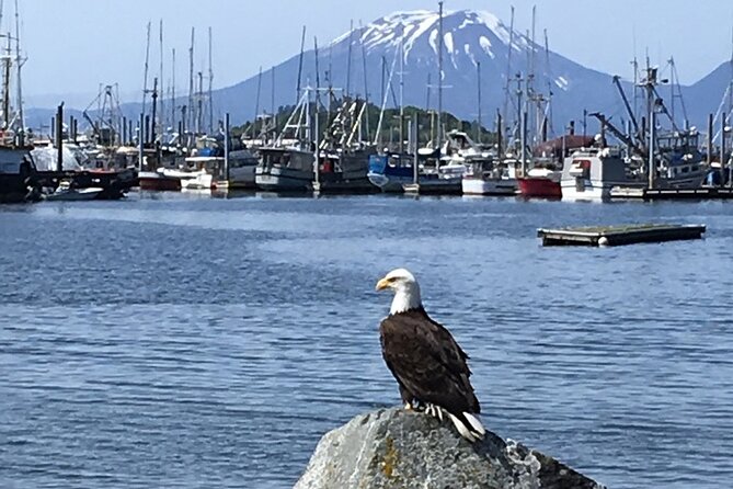 Sitka Sea Birds & Marine Life Private Charter Scenic Eco-Tour - Cost-Effectiveness and Inclusions