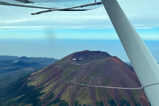 Sitka Sound Private Seaplane Tour Experience - Wildlife Encounters from the Skies