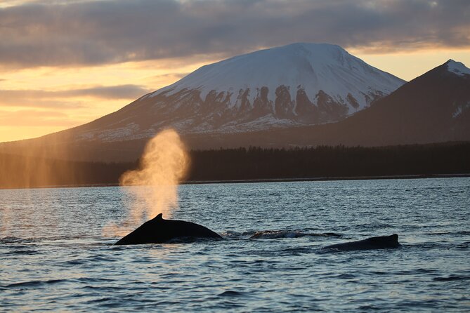 Sitka Whale Watch and Sea Otter Quest - Starting Point at Crescent Harbor in Sitka