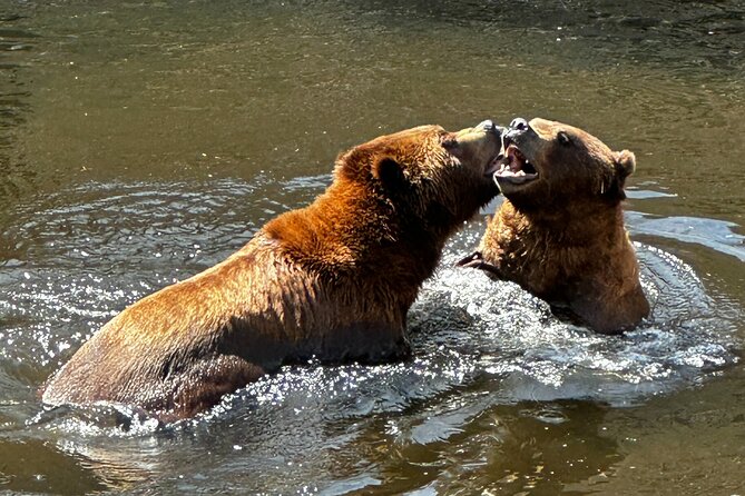 Sitka's Favorite Sites Private Land Tour for 6 (Meal option avail - Starrigavan Recreation Area: Accessible Wildlife Viewing