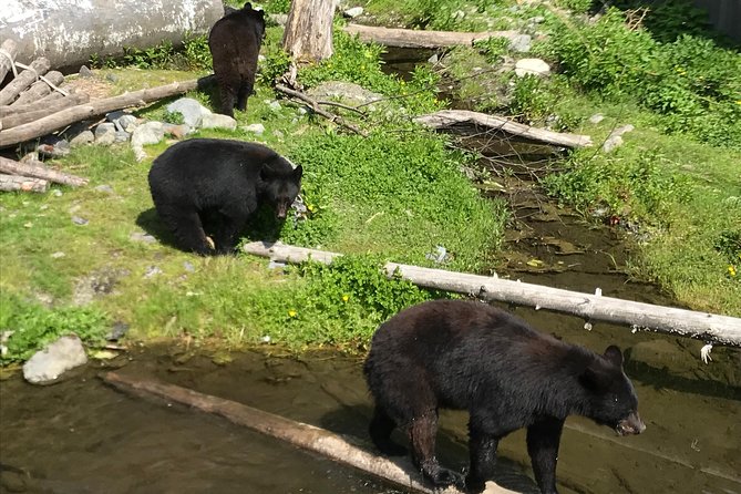 Sitka's only Private Simply Amazing Tour - Key Points