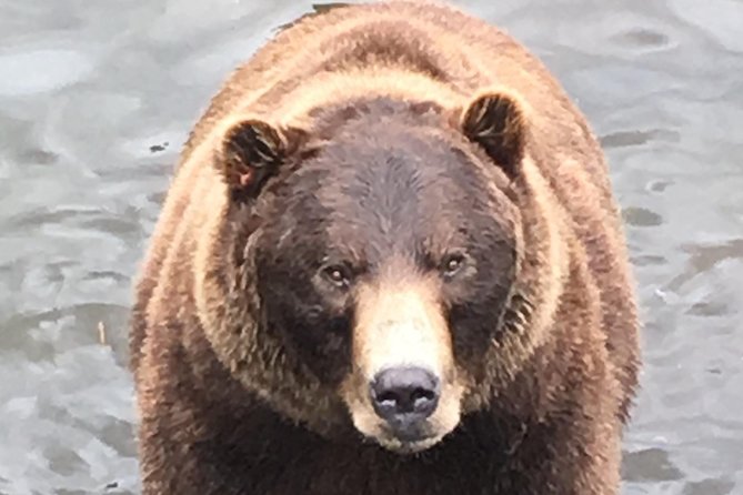 Sitka's only Private Simply Amazing Tour - Discovering Sitka’s Indigenous Heritage at the National Historic Park