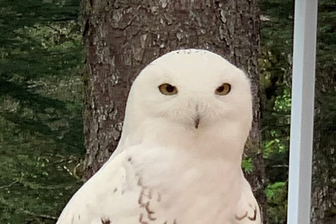 Sitka's only Private Simply Amazing Tour - Relaxing at a Local Brewery for Refreshments