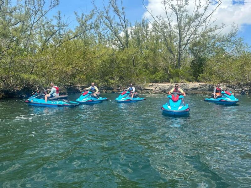 Six Fins Key West: 90-Min Premium Guided Jet Ski Tour - Encountering Marine Life in the Clear Waters