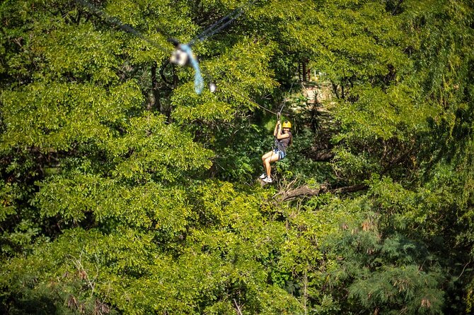 Six Zipline Adventure with Waikiki Transportation - Booking, Cancellation, and Flexibility