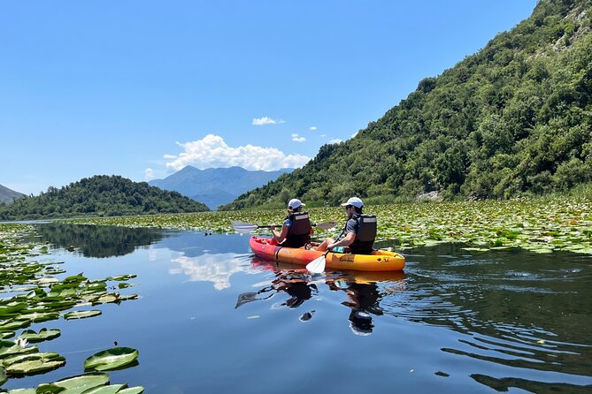 Skadar Lake: 4-Hour Guided tours on Kayak - Expert Guidance and Safety Equipment