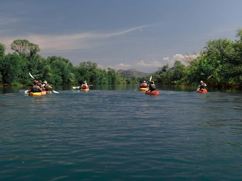 Skadar Lake: 4-Hour Guided tours on Kayak - Paddling Through Narrow Channels and Secluded Covew
