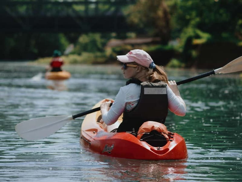 Skadar Lake: 4-Hour Guided tours on Kayak - Practical Details: Equipment, Safety, and Accessibility