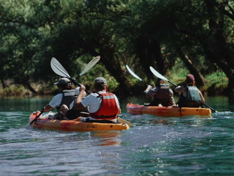 Skadar Lake: 4-Hour Guided tours on Kayak - Meeting Point and Tour Flexibility