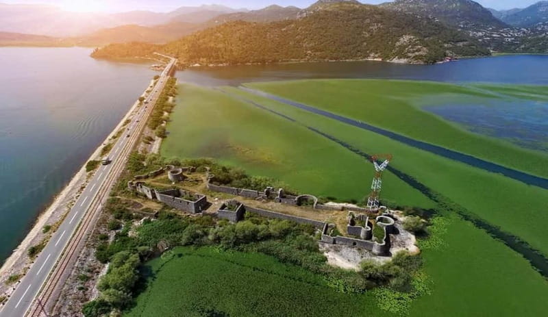 SKADAR LAKE: A national park with amazing flora and fauna! - Discover Lake Skadar: Montenegro’s Natural Treasure