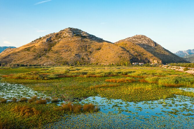 Skadar Lake: Guided Sightseeing Boat Tour with Refreshments - Practical Logistics and Group Size