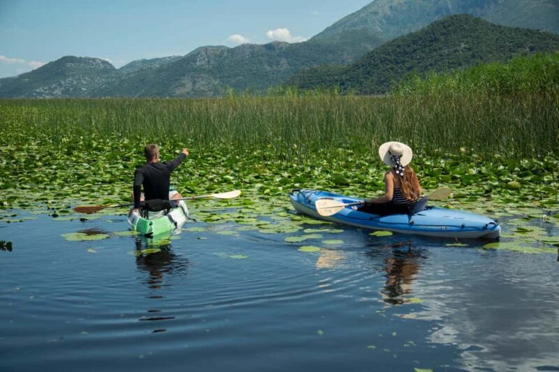 Skadar Lake: Individual Kayaking, hidden canals and swimming - Pricing and Extra Costs