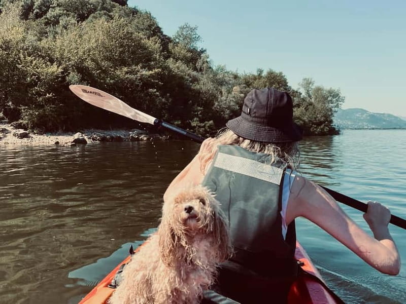Skadar Lake: Kayak & Paddle board Rental - Wildlife and Birdwatching: Over 270 Bird Species